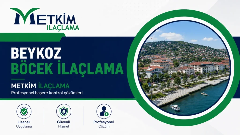 Beykoz böcek ilaçlama hizmeti - Metkim İlaçlama